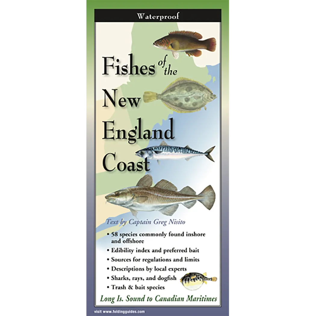 Fishes of the New England Coast - Folding Guide