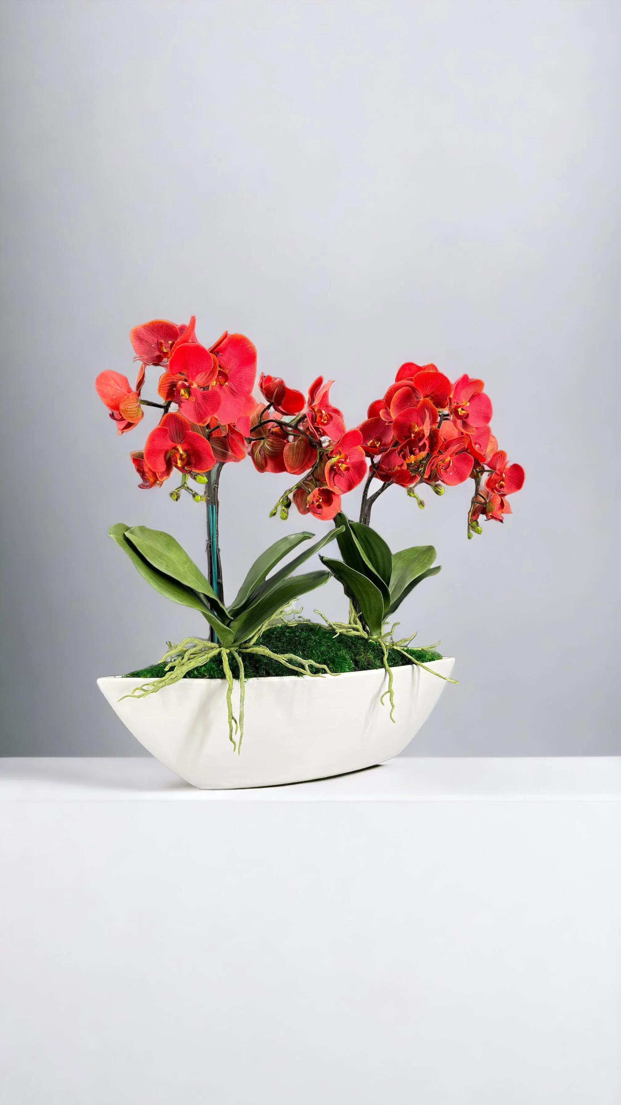 Orchid Centerpiece in Boat Bowl