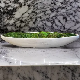 Preserved Moss in Concrete Boat Centerpiece