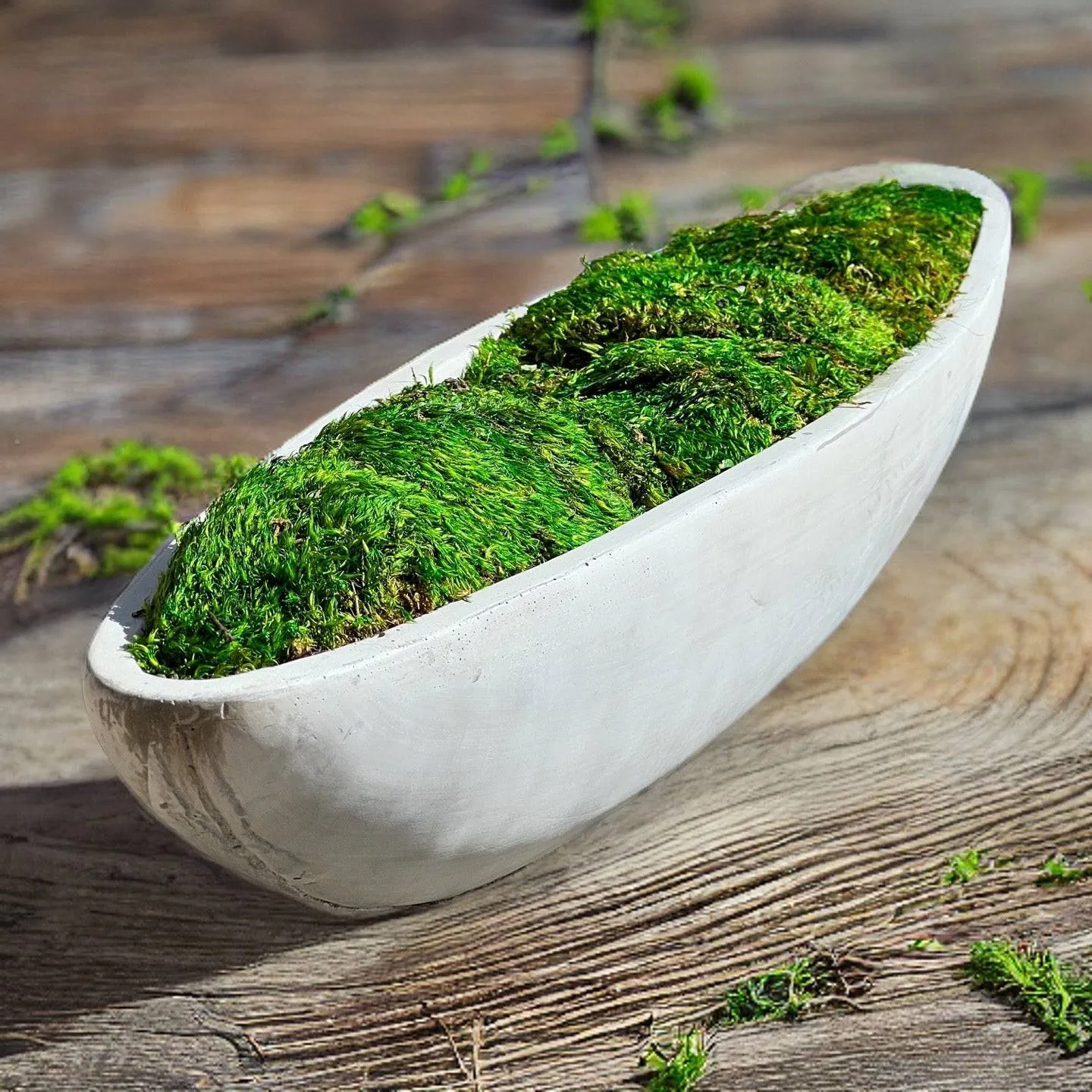 Preserved Moss in Concrete Boat Centerpiece