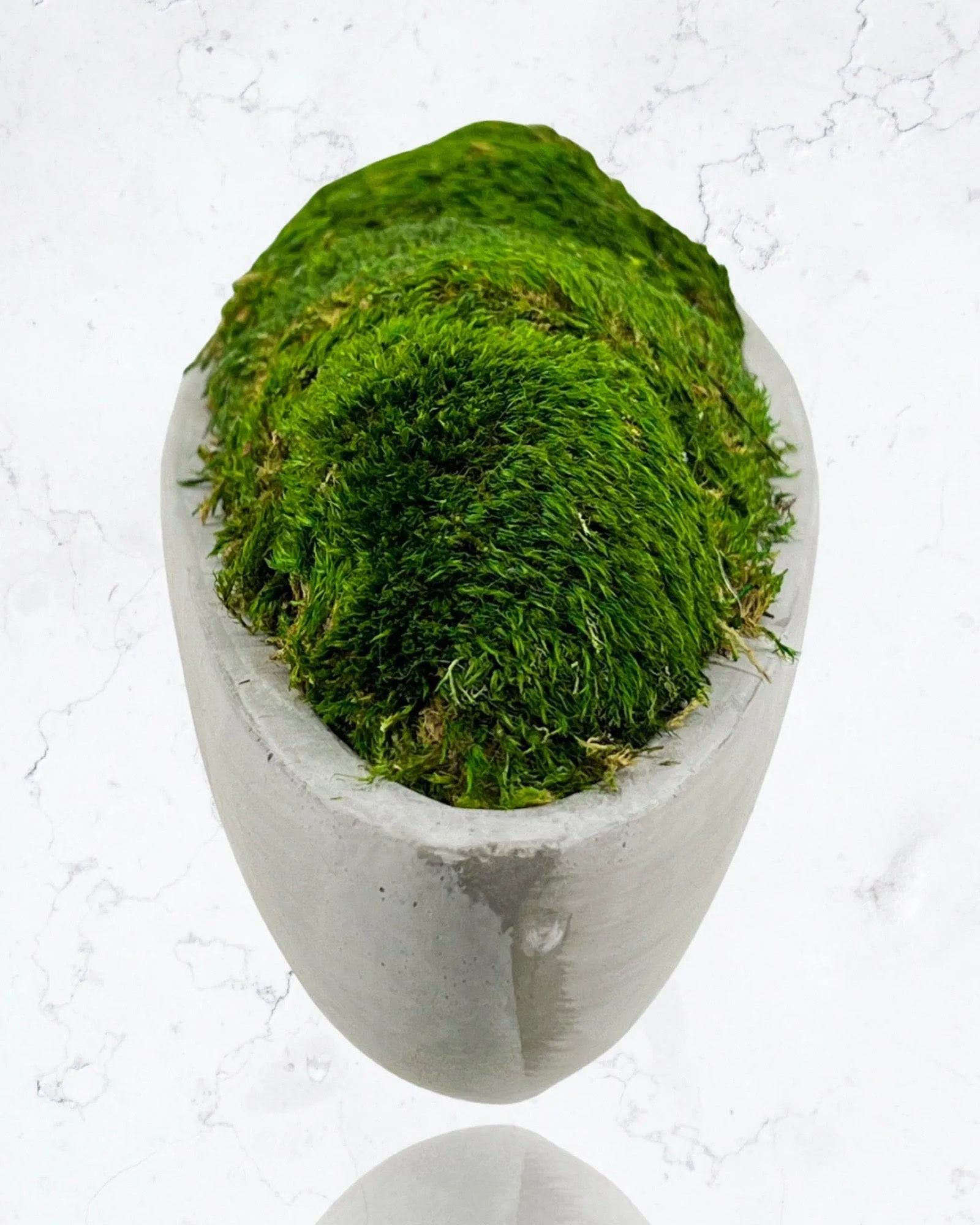 Preserved Moss in Concrete Boat Centerpiece