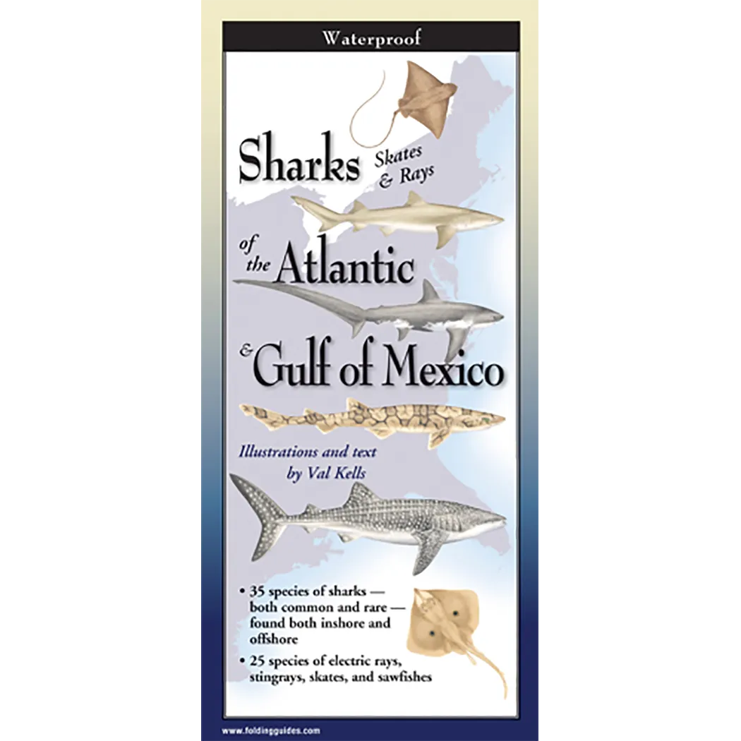 Sharks, Skates & Rays of the Atlantic and the Gulf of Mexico - Folding Guide