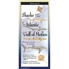 Sharks, Skates & Rays of the Atlantic and the Gulf of Mexico - Folding Guide